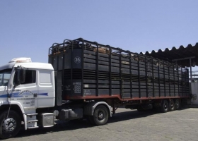 Se suspende para readecuación y mejor aplicación la verificación de transportes de animales