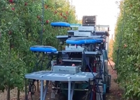 Robots voladores autónomos. En Israel ya usan una impactante tecnología para recolectar manzanas