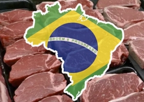 Brasil es el país de la carne. Este año se quedará con el 25% del comercio mundial de carne vacuna, el 35% de las exportaciones de pollo y sus embarques de cerdo crecerán un 8%