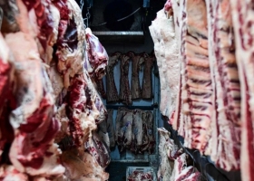 Alarma. Siguen cayendo los valores que paga el principal mercado de la carne vacuna