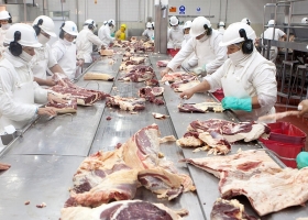 Argentina, el único país del Mercosur que está exportando más carne bovina este año