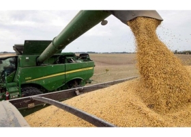 Santa Fe. Márgenes de producción de la campaña de soja 2022/23