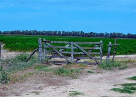 Inmuebles rurales: julio confirmó el repunte que viene mostrando el mercado
