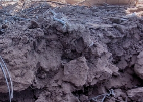 Proyectan que la esperada recomposición hídrica no llegará a producirse durante el comienzo de la siembra gruesa en el centro del país