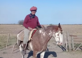Voto castigo. El abrumador resultado de Milei donde más golpeó la sequía y el Gobierno se olvidó de ese lugar