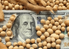 Finalmente volvieron las ventas de soja pero con un precio ruinoso medido en billetes reales