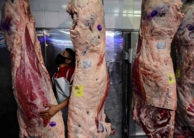 Alteran y perturban. Una cámara culpó al Gobierno por el incremento del precio de la carne