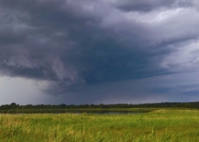 Las lluvias de primavera llegarían antes de lo previsto y permitirían recargar los suelos de cara a la campaña gruesa