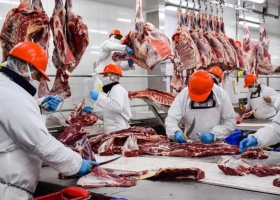 Se atrasan. Alertan que hay demoras en las exportaciones de carne vacuna por estrictos controles de la Aduana