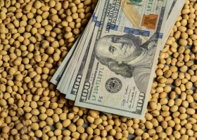 Dólar soja. Reparos, dudas y la incógnita sobre cuánto van a vender los productores