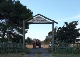 Esto no es un trabajo. Compró dos vacas para abrir un camino, ganó un campeonato y revela hasta dónde quiere llegar