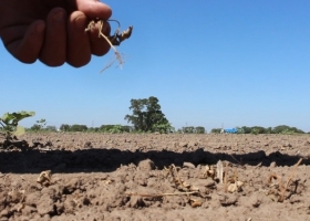 El desastre climático del 2022/23 fue peor que el de 2008/09. El producto bruto del agro argentino cayó más de un 40%