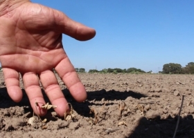 Se enfrían los precios de los fertilizantes a causa de la incertidumbre climática presente en el sector oeste del país