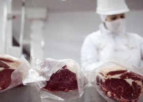 Cae la competitividad de la exportación de carne vacuna mientras el gobierno le niega al sector un dólar carne más alto