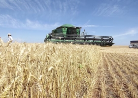 Un grupo argentino compró una empresa de trigo de Brasil y prepara una expansión en EE.UU., Canadá y Europa