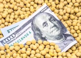 La extensión del dólar soja 4 obliga a los exportadores a liquidar el 25% en el mercado CCL para intentar evitar que se profundice la brecha cambiaria con el oficial
