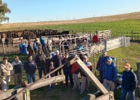 Las chacras experimentales de Desarrollo Agrario abren sus puertas.
