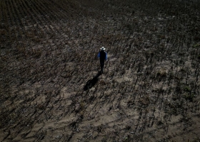 Entidades agropecuarias alertan por el ahogo financiero que atraviesan los productores