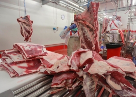 Estiman una reducción del consumo de carne en la UE del 1,5% para 2023