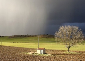 En el campo hacen votos para que se cumpla el pronóstico lluvias en el fin de semana electoral