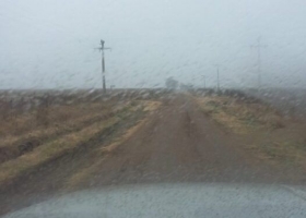 Un 47% del área de trigo argentina está en mala situación y su última esperanza son las lluvias pronosticadas a partir del domingo