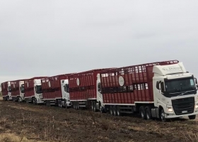 Crisis. Alertan que en una región un 30% de los productores dejó la actividad o hizo un forzado traslado de vacas