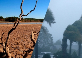 Diverso, El Niño se asomó en la primera parte de una campaña con mucho en juego