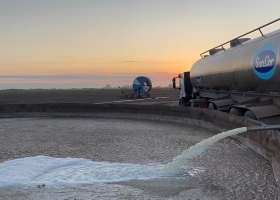 Conflicto con un gremio. SanCor podría dejar de recibir leche para no tener que tirarla