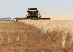 Cosecha de trigo el abecé para no dejar ningún grano en el suelo