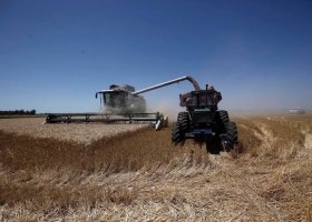 Se desploma en Córdoba la cosecha de trigo y las pérdidas superarán los US$270 millones