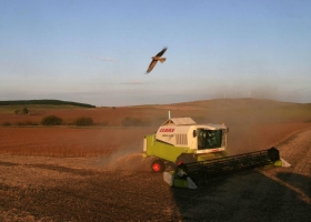 Avanza la siembra de arroz, soja y lino de la campaña 2023/2024