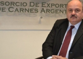 Por ahora no levantan cabeza, pero los exportadores de carne ya sueñan con poder embarcar 1,5 millones de toneladas en el gobierno de Milei