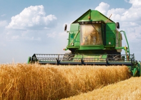 La cosecha de trigo avanza con sorpresas y de los buenas rindes muy superiores a los que se estimaban