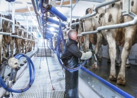 Un gigante de Suecia cerró una histórica fábrica de equipos para los tambos y deja de producir en el país