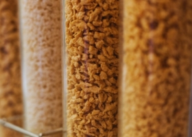 Se conformó el Clúster de Proteínas Vegetales con el propósito de potenciar el valor agregado de la soja argentina