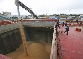 Nuevo gobierno por las exportaciones agrícolas el próximo año llegarán US$30.736 millones