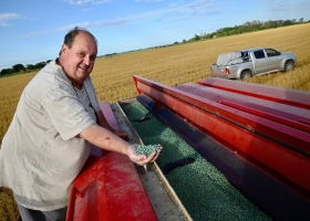 Rotundo cambio las lluvias despejaron la última incógnita y el campo acelera la siembra