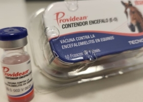 Senasa aprobó el primer lote de vacunas contra la encefalomielitis equina y se espera que esté disponible en las próximas horas