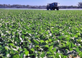 Del dicho al hecho hay un largo trecho. Nuevo impuestazo al agro con un aumento del 130% del impuesto PAIS