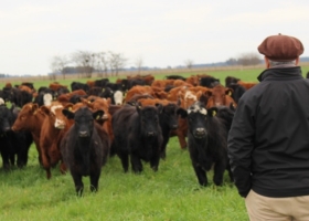 El récord argentino más triste. Cayó al mínimo histórico el poder de compra de carne vacuna por parte del salario