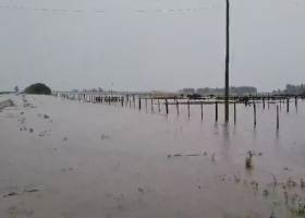 Arrasó con todo. El temporal causó destrozos en el campo y hay millonarias pérdidas