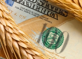 Sigue vigente con Milei el dólar forward creado por Massa que perjudica especialmente a los productores más chicos