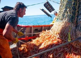 Es una bomba. El sector pesquero alerta que los cambios impulsados por el Gobierno generarán una crisis