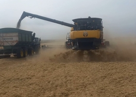 Gracias a la devaluación, la presión fiscal sobre el sector agrícola pampeano se redujo a 59%, el nivel más bajo en diez años