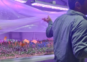 Genética En 2023 se cayó la inscripción de cultivares de soja en la Argentina para registrar el nivel más bajo desde 2019