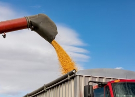 El doble mensaje de productores agropecuarios al Gobierno. Quedaremos en el camino