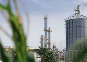 Es la primera transgénica la industria del etanol de maíz celebra la aprobación de una levadura