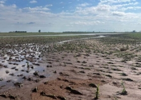 Cuánta lluvia cayó el fin de semana en la región agrícola núcleo. En algunos sitios, demasiada para tan poco rato