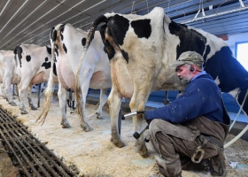Una de cal y una de arena. La suspensión de las retenciones y la caída en la producción mejoraron un 30% el precio de la leche al productor