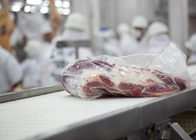 Mercados Agricultura asignó la cuota de exportación de carne vacuna sin hueso a Estados Unidos